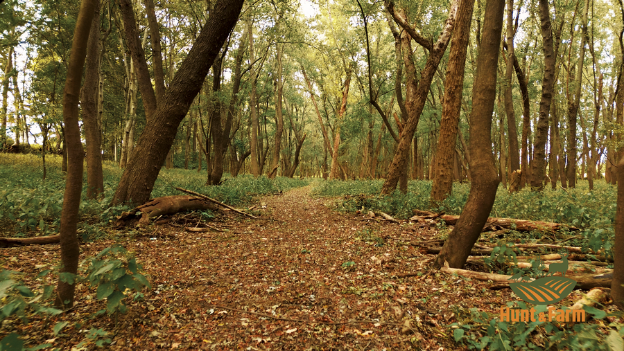 Still 2025-10-28 135545_1.15.1.png